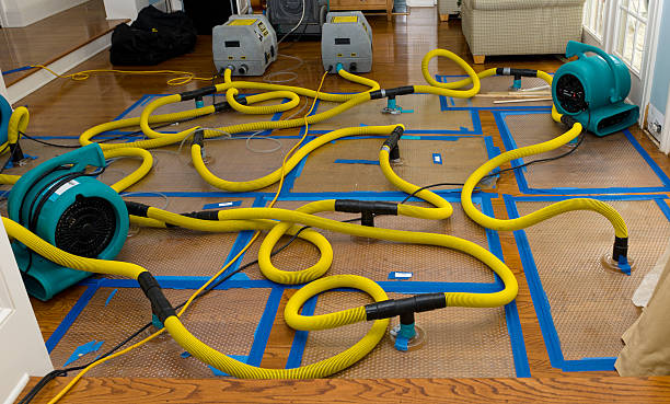 Professional Crawl Space Water Removal technician working in Ashburnham, MA